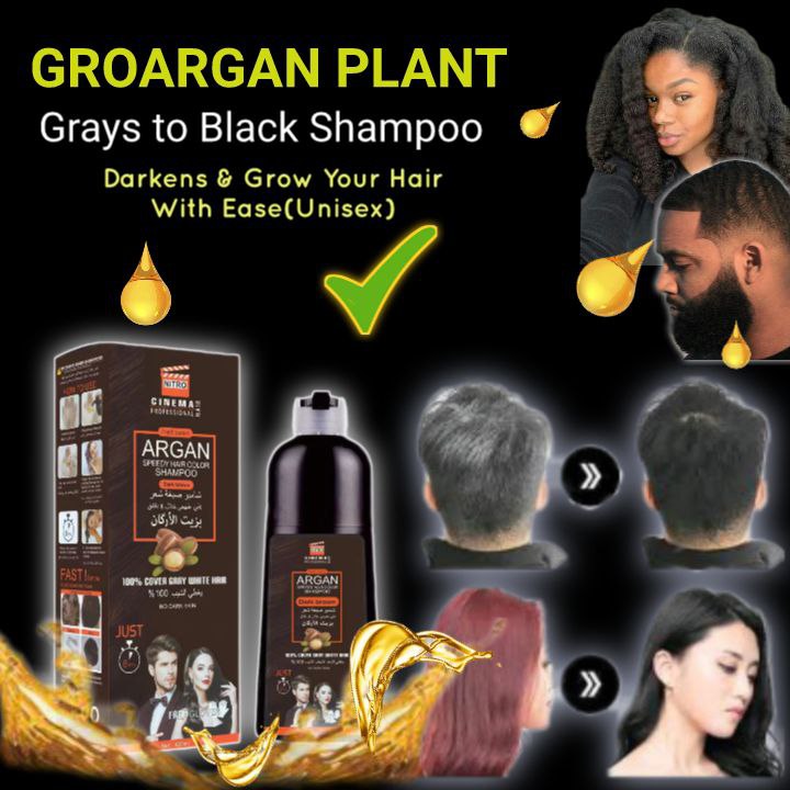 Argan Shampoo 33